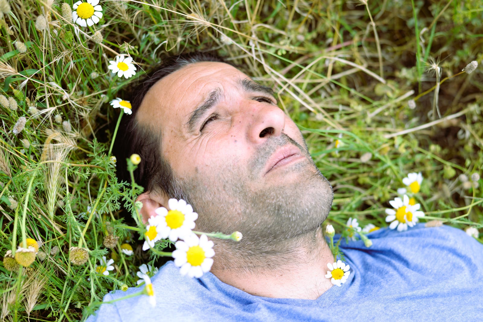Grégory Nardella allongé dans l'herbe parmi les marguerites